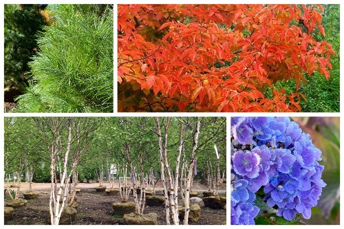 Fall Planting