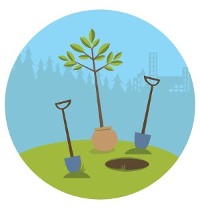 How to plant a tree How to plant a tree