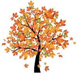 Fall planting Hopkinton Stone and Garden Fall planting Hopkinton Stone and Garden
